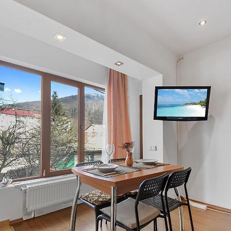 Appartement Cozy Montain Studio à Sinaia Extérieur photo