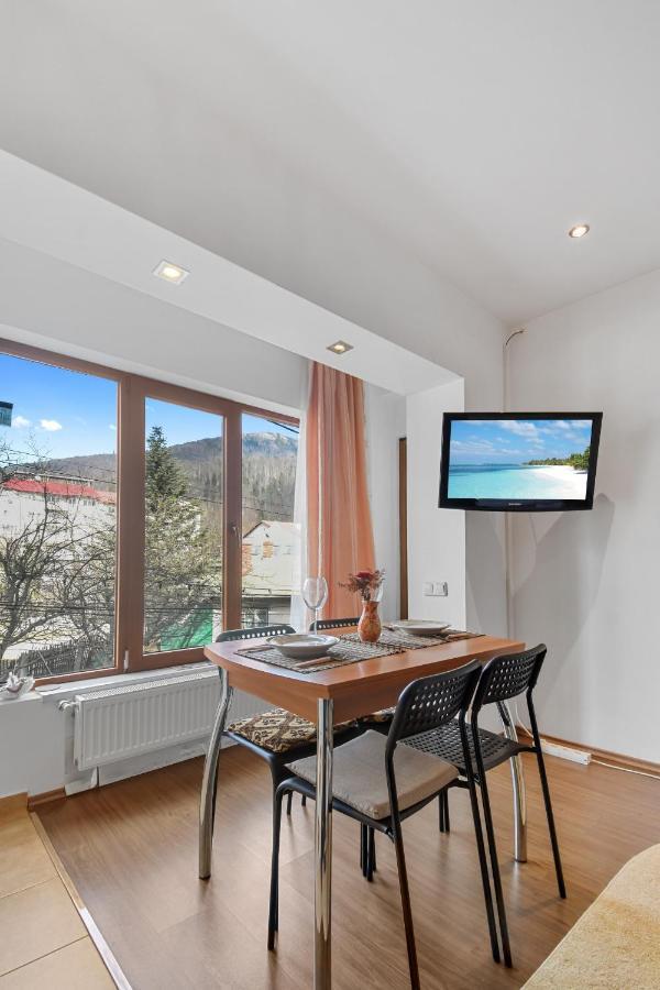 Appartement Cozy Montain Studio à Sinaia Extérieur photo