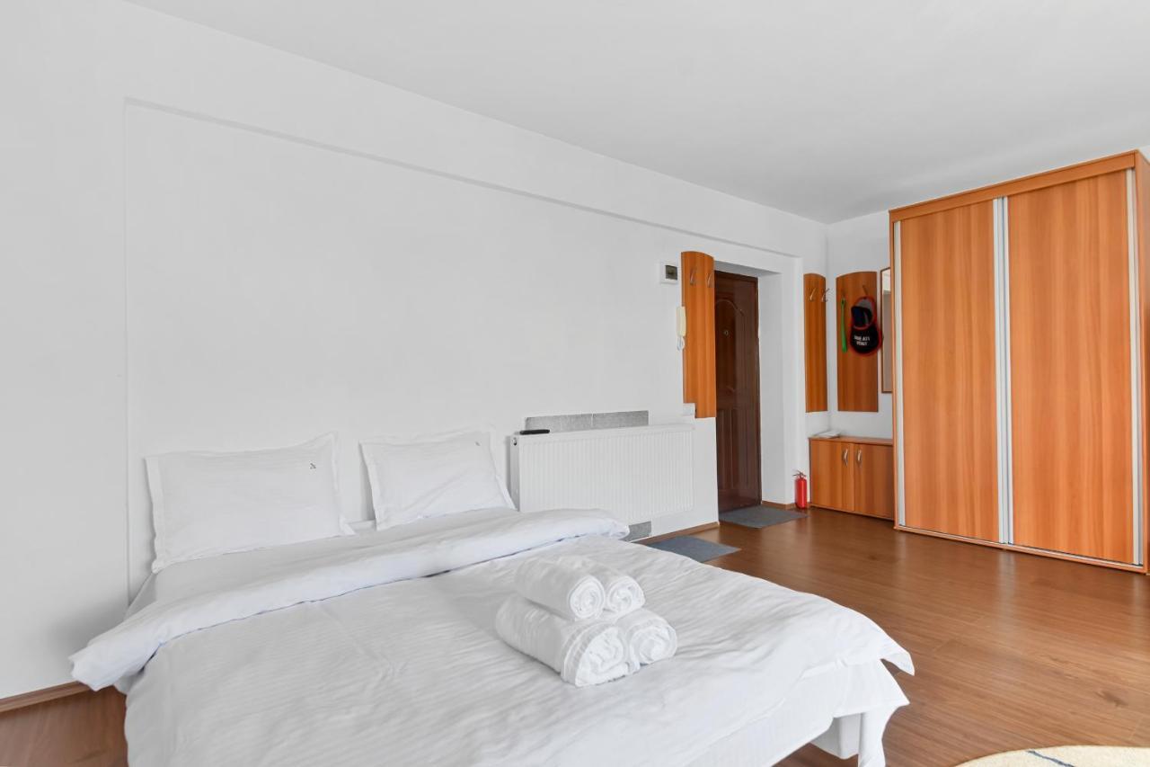 Appartement Cozy Montain Studio à Sinaia Extérieur photo